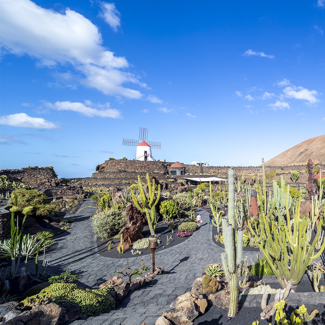 Hotels auf Lanzarote - Urlaub auf den Kanaren | TUI BLUE - tui-blue.com