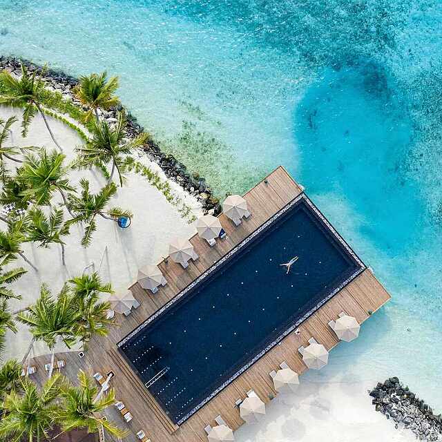 Infinity Pool von Palmen umsäumt