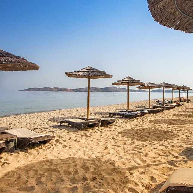 Die Strandliegen warten schon auf Sie!