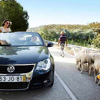 Mietwagen buchen auf tui-blue.com