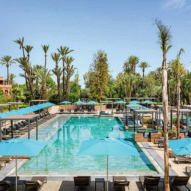 Beautiful, palm-fringed pool area