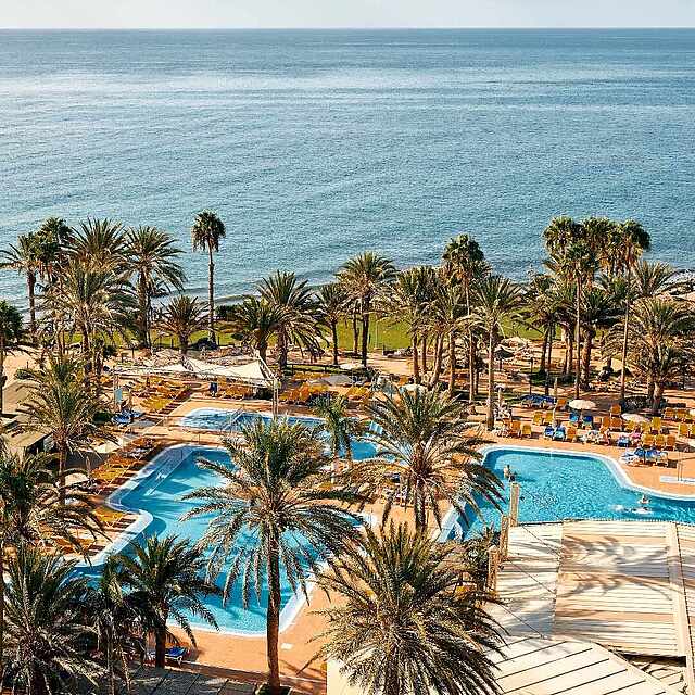 Large pool landscape